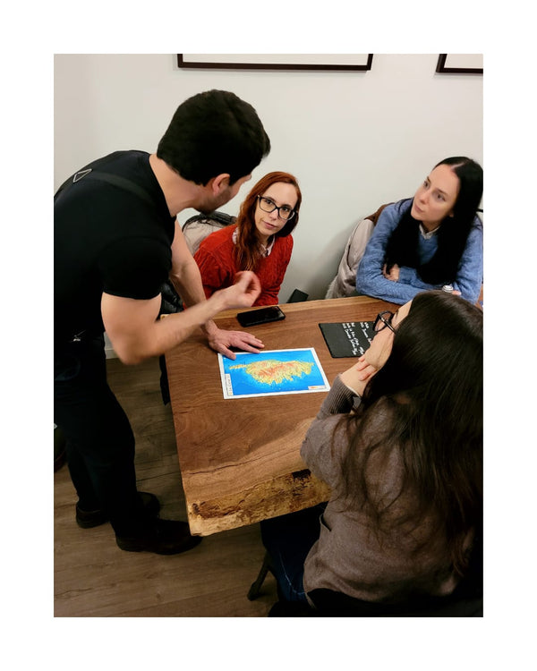 Corsican wine tasting